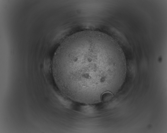X0000093510511200710191314