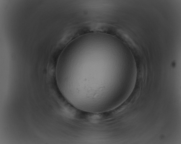 X0000093510513200710191314