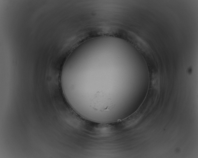 X0000093510514200710191314