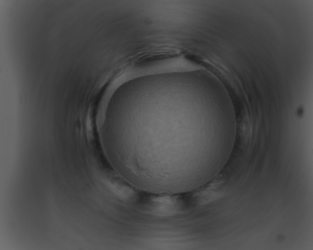 X0000093510516200710191314