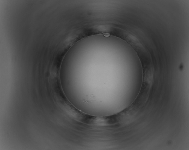 X0000093510518200710191314
