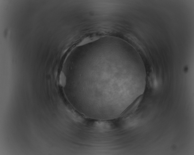 X0000093510520200710191314