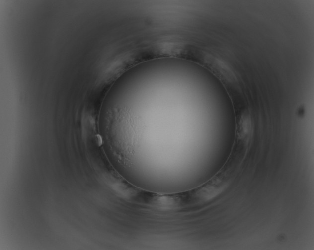X0000093510522200710191313