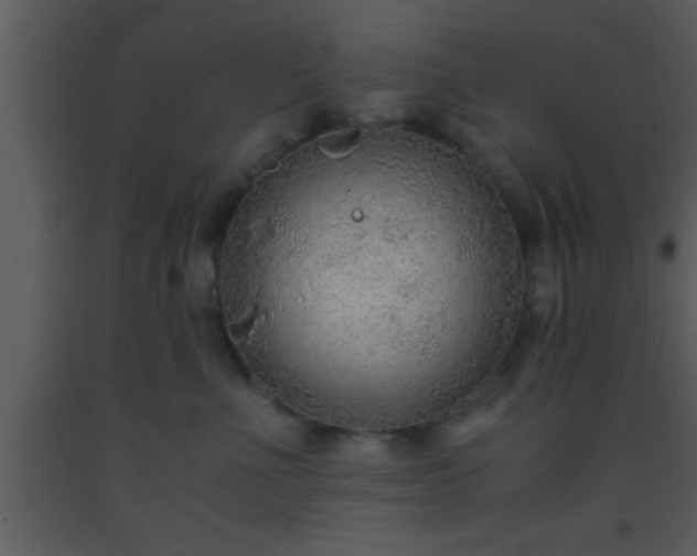 X0000093510523200710191313