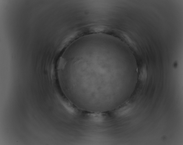 X0000093510524200710191313