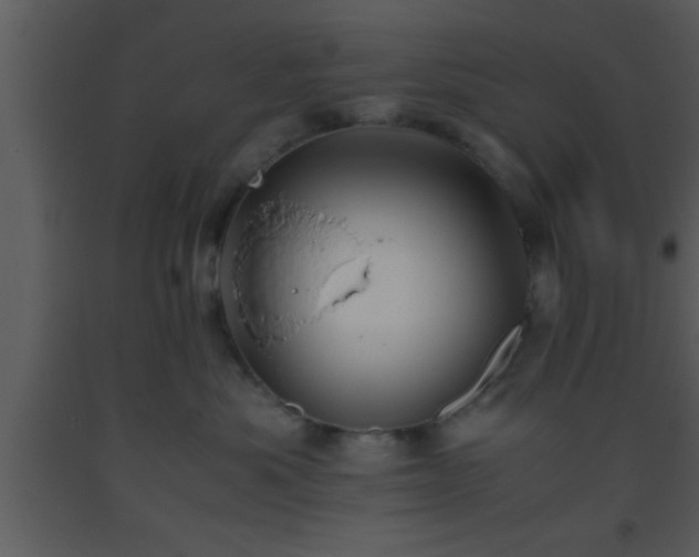 X0000093510525200710191313