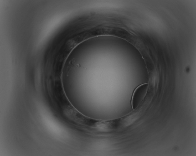 X0000093510526200710191313