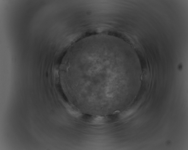 X0000093510527200710191313
