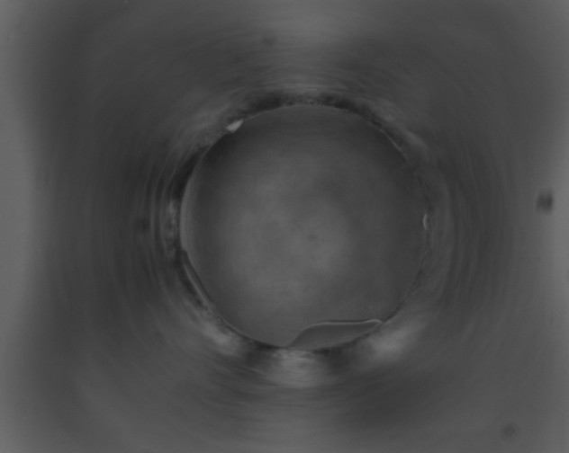 X0000093510528200710191313