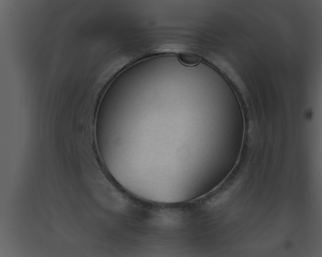 X0000093510529200710191313