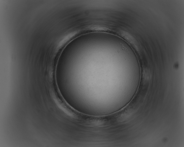 X0000093510533200710191313