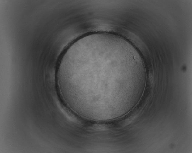 X0000093510534200710191313