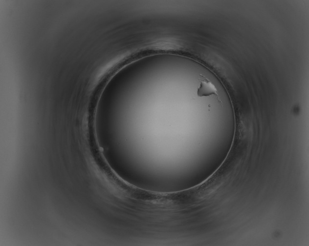 X0000093510535200710191313