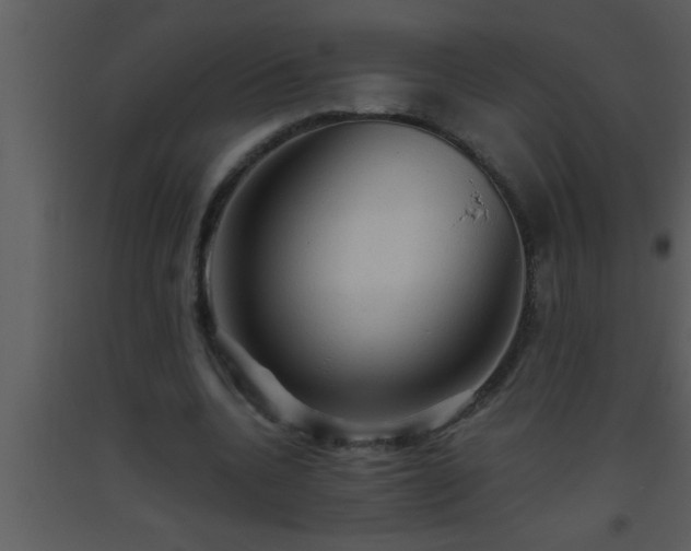 X0000093510536200710191313