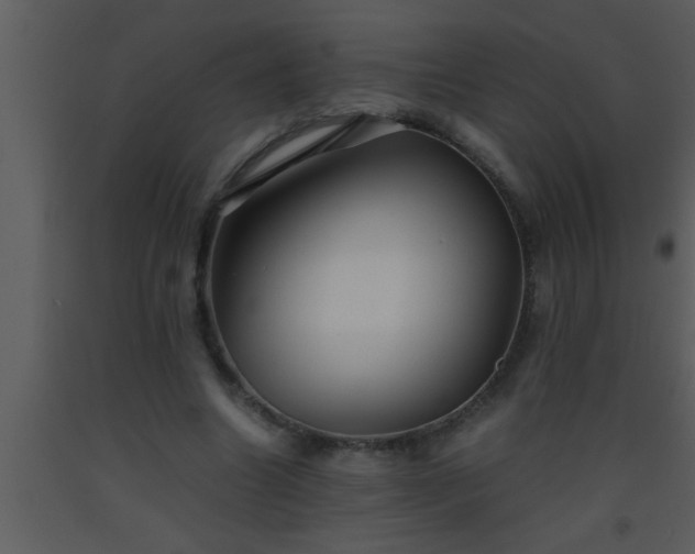 X0000093510538200710191313