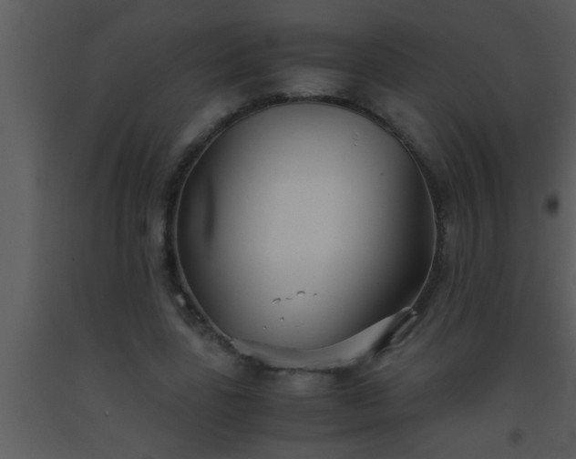 X0000093510539200710191313