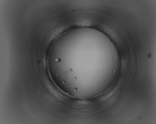 X0000093510541200710191313