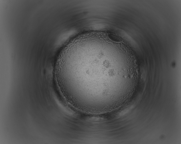 X0000093510542200710191313