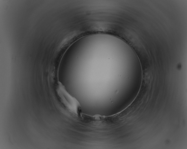 X0000093510544200710191313