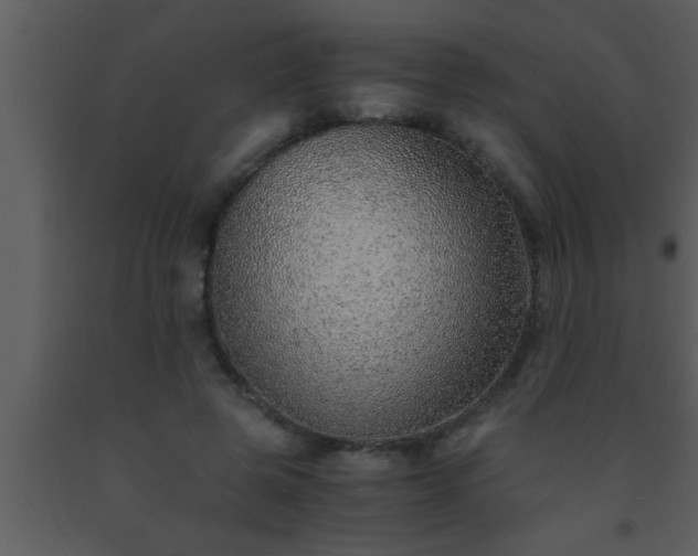 X0000093510545200710191313