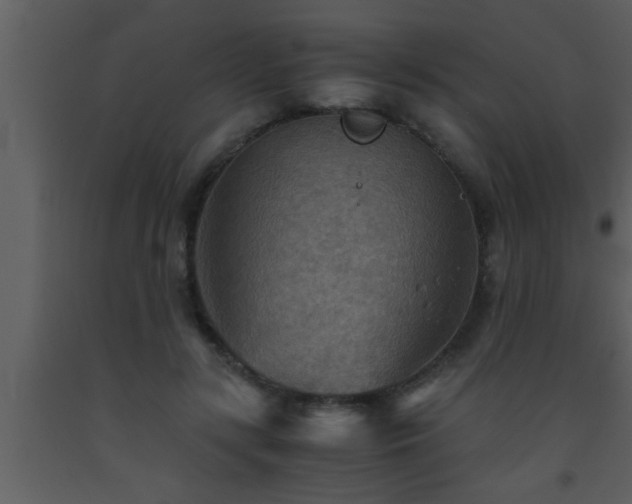 X0000093510547200710191313