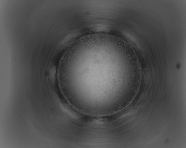 X0000093510550200710191313