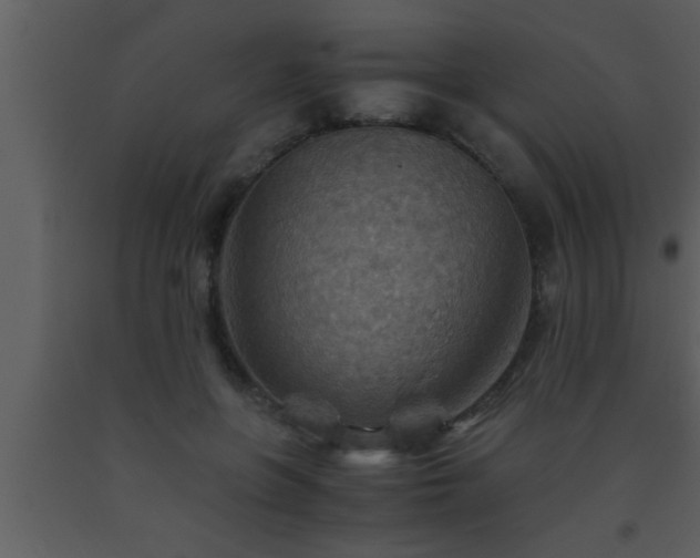 X0000093510551200710191313