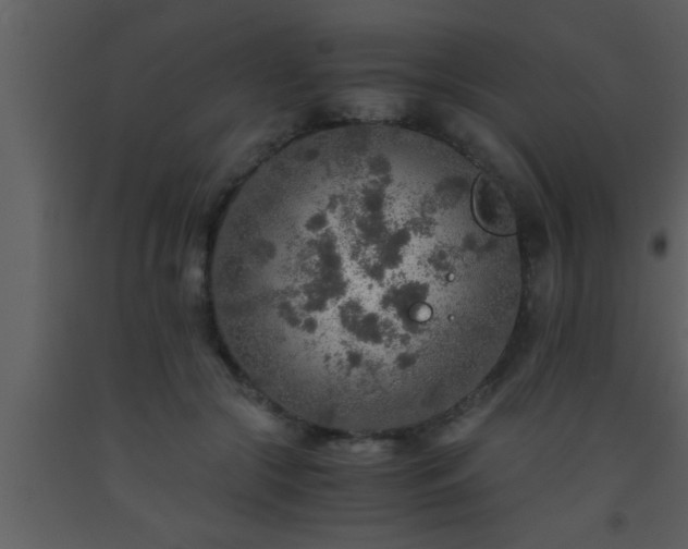 X0000093510553200710191313