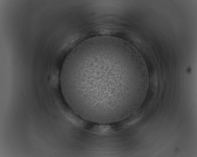 X0000093510554200710191313