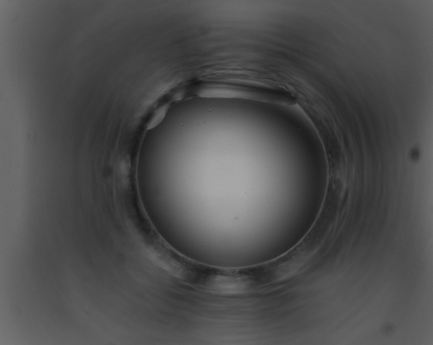 X0000093510556200710191313