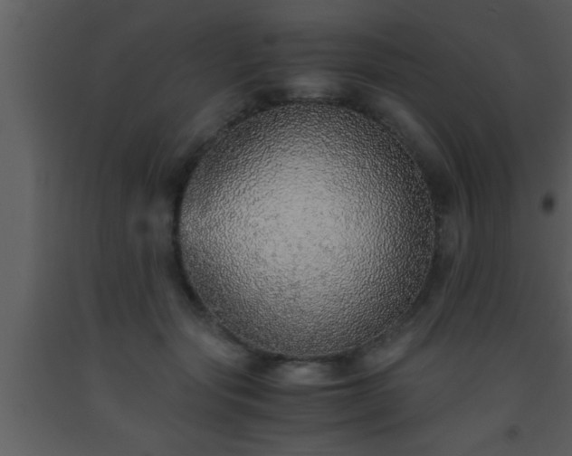 X0000093510557200710191313