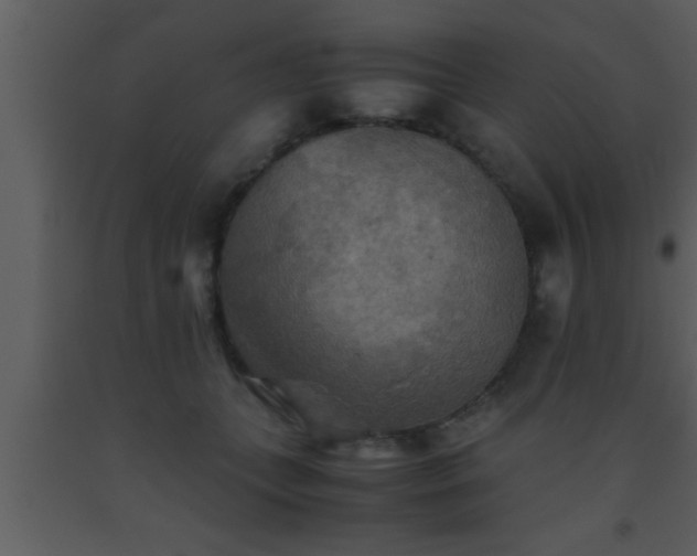 X0000093510559200710191313