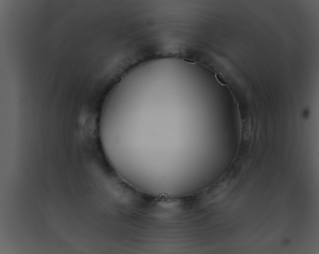 X0000093510560200710191313