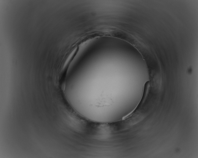X0000093510562200710191313