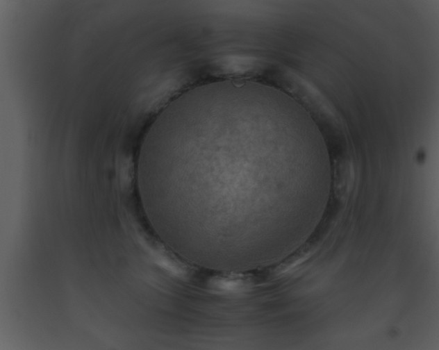 X0000093510563200710191313