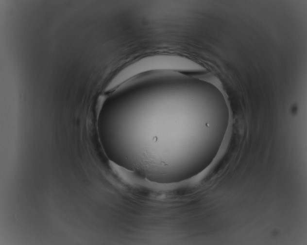 X0000093510564200710191313