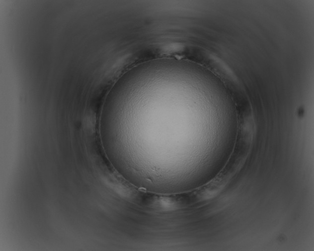 X0000093510565200710191313