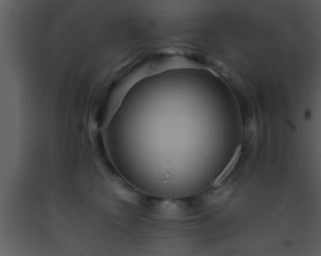 X0000093510566200710191313