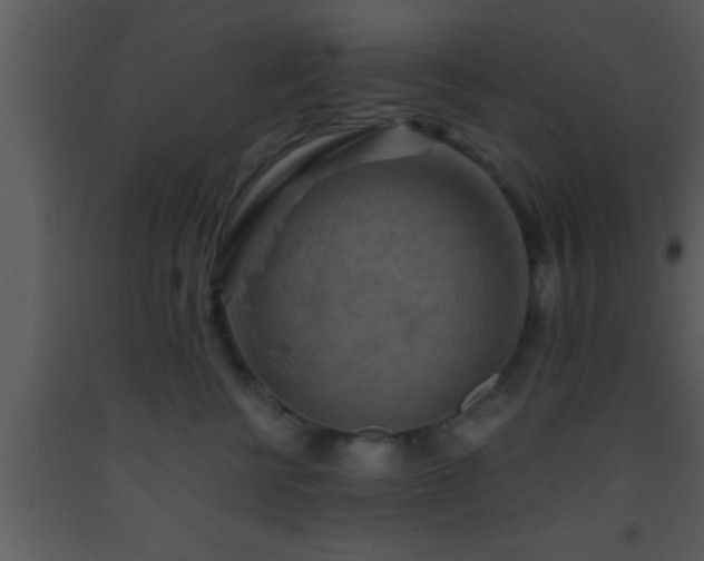 X0000093510570200710191313