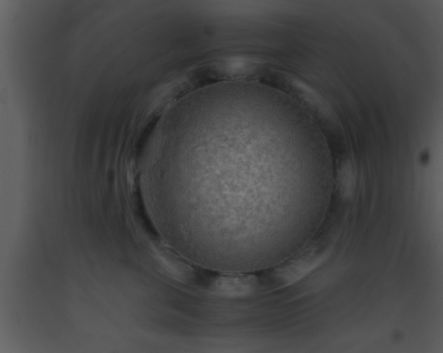 X0000093510571200710191313