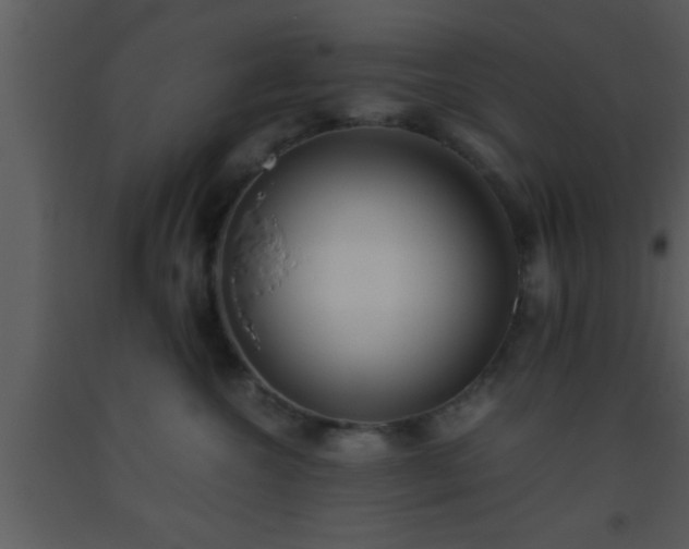 X0000093510572200710191313