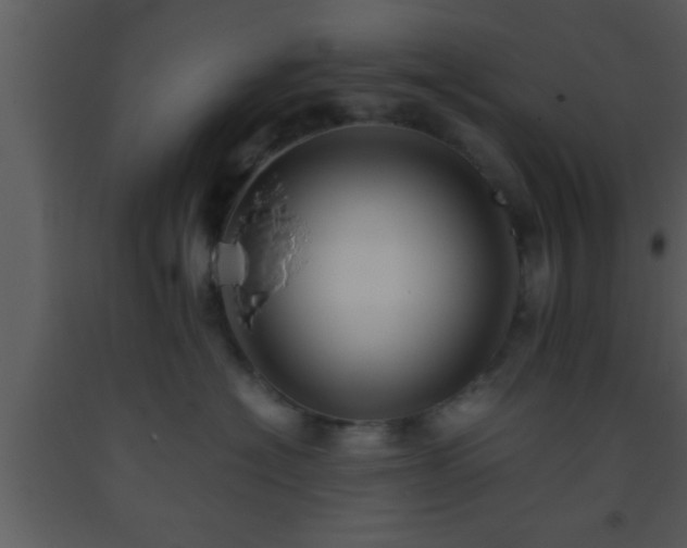 X0000093510574200710191313