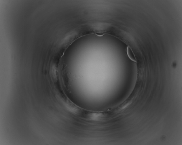 X0000093510575200710191313
