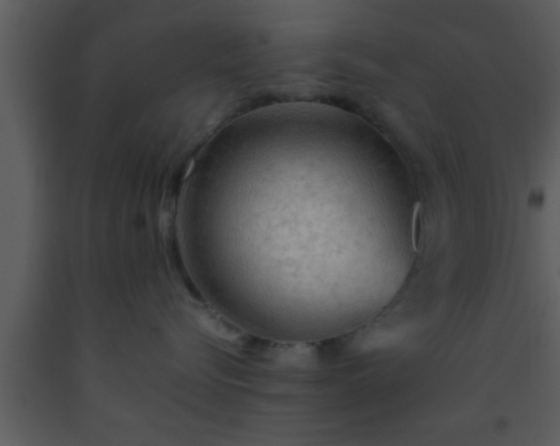 X0000093510576200710191313