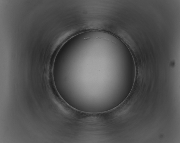 X0000093510578200710191313