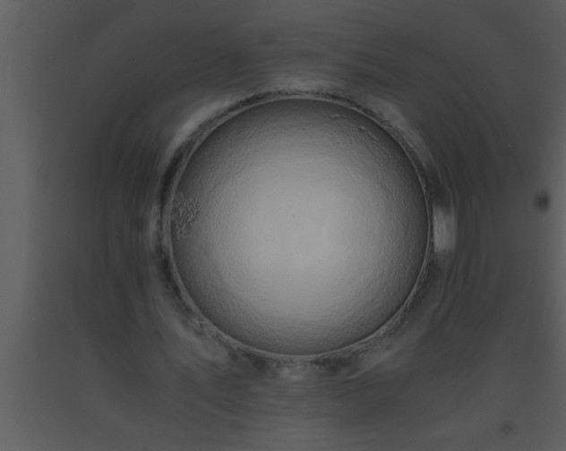 X0000093510579200710191313