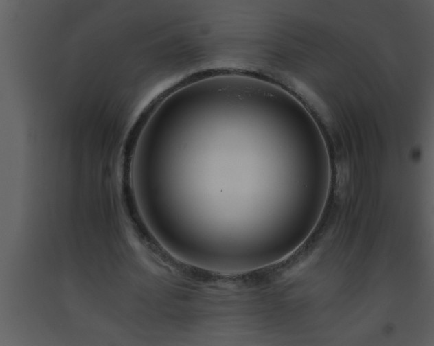 X0000093510580200710191313