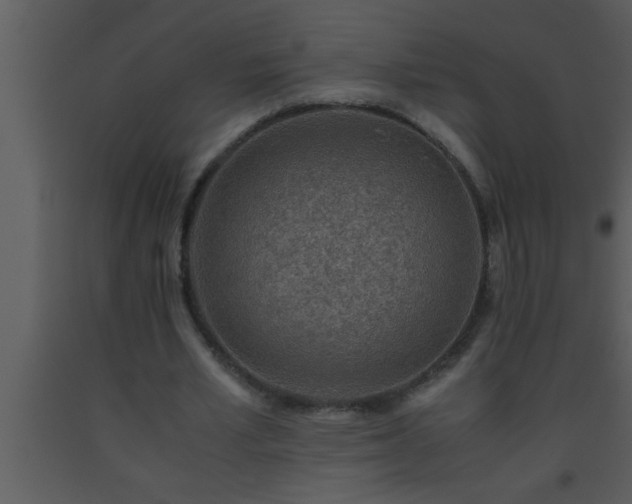 X0000093510581200710191313