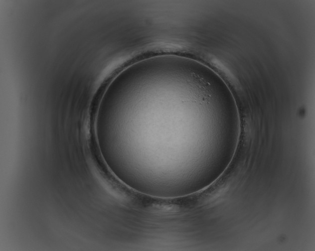 X0000093510582200710191313