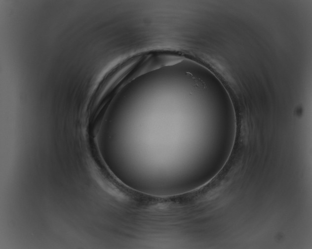 X0000093510584200710191313